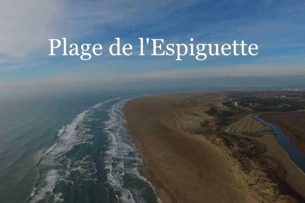 Grand Studio Au Grau-Du-Roi Proche Seaquarium Et Plage Le Grau-du-Roi Eksteriør bilde